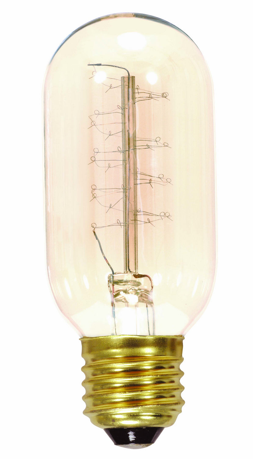 Satco - S2416 - Light Bulb - Clear