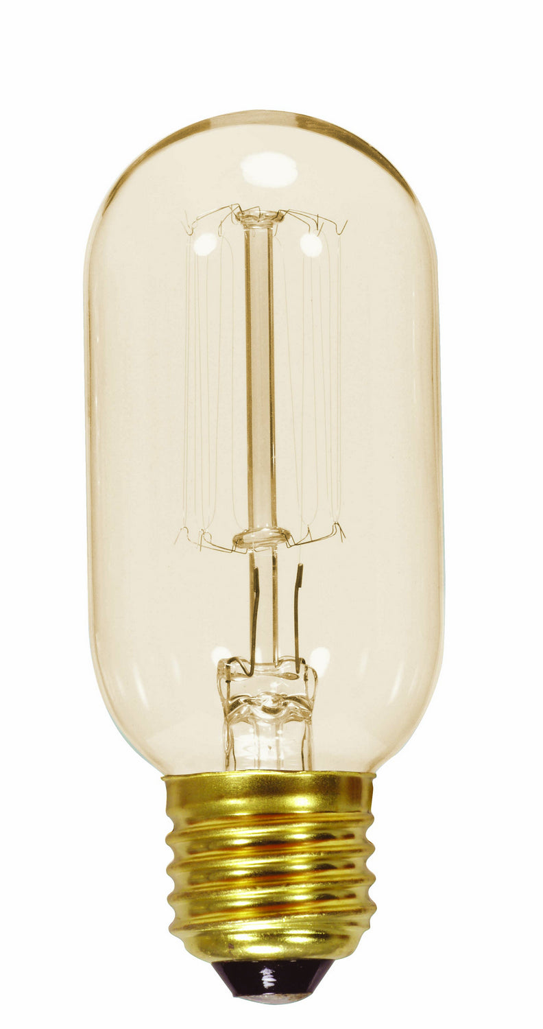 Satco - S2417 - Light Bulb - Clear