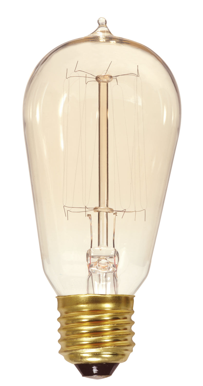 Satco - S2423 - Light Bulb - Clear