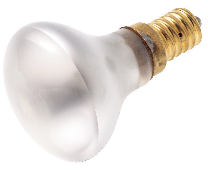 Satco - S3396 - Light Bulb - Frost