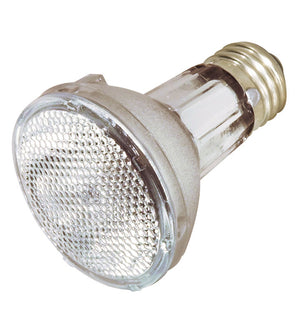 Satco - S4285 - Light Bulb - Clear