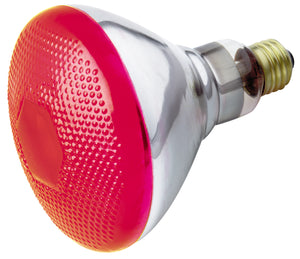 Satco - S4424 - Light Bulb - Red