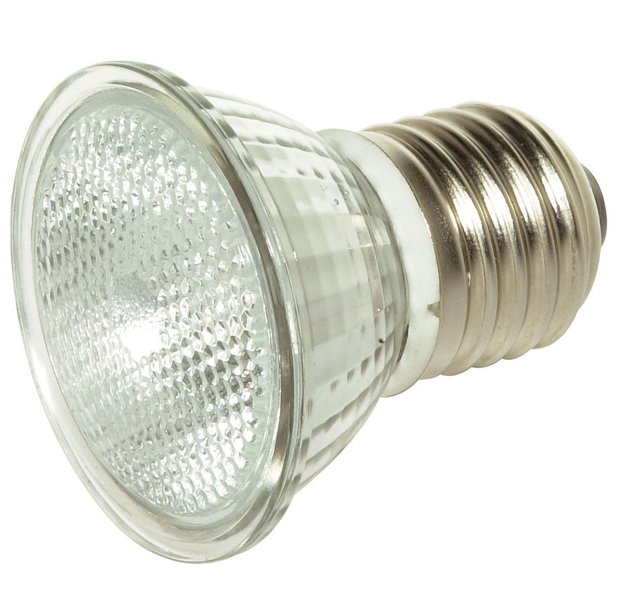 Satco - S4623 - Light Bulb - Clear