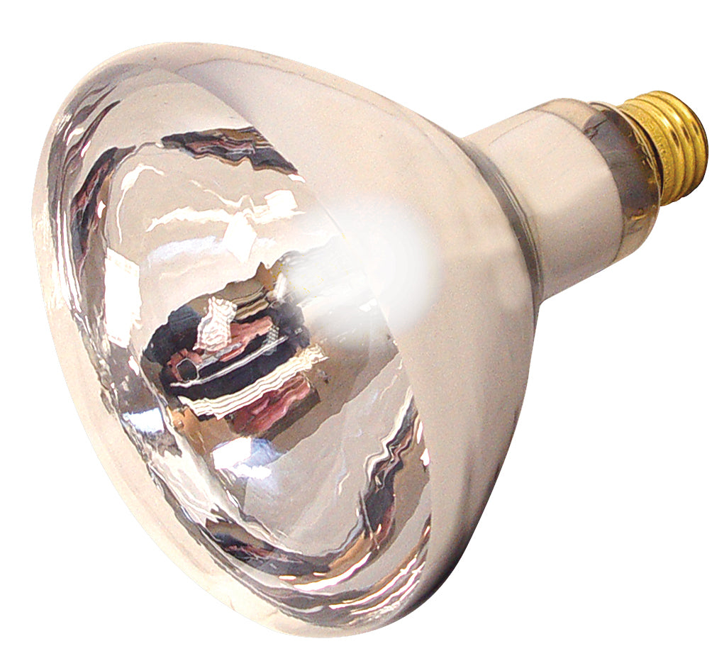 Satco - S4750 - Light Bulb - Clear Heat