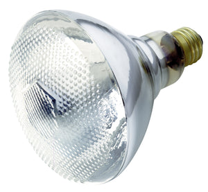 Satco - S4752 - Light Bulb - Clear