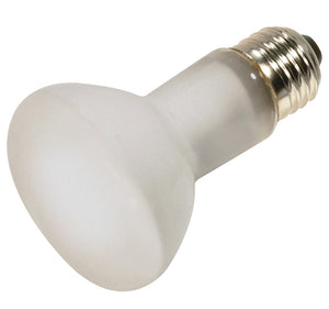 Satco - S4886 - Light Bulb - Frost