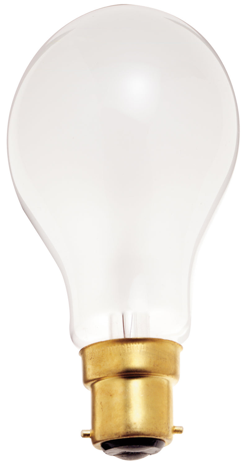 Satco - S5040 - Light Bulb - Frost