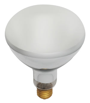 Satco - S7006 - Light Bulb - Frost