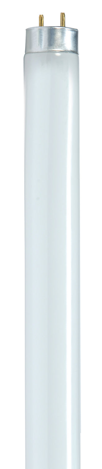 Satco - S8420 - Light Bulb - Gloss White