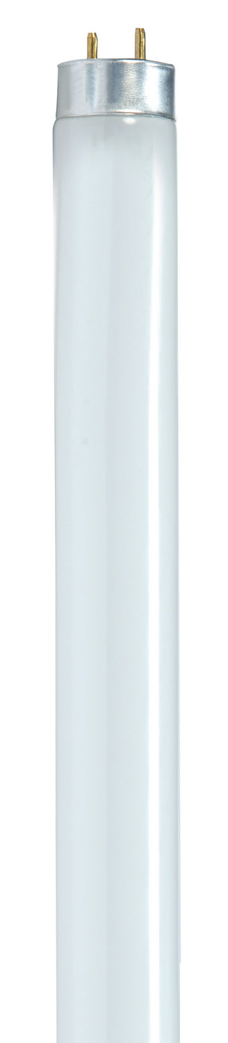 Satco - S8422 - Light Bulb - Gloss White