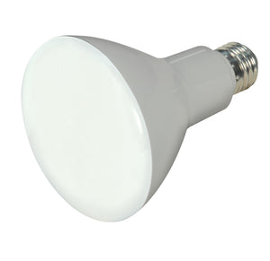 Satco - S9620 - Light Bulb - Frost