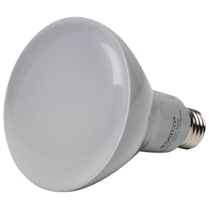 Satco - S9621 - Light Bulb - Frost