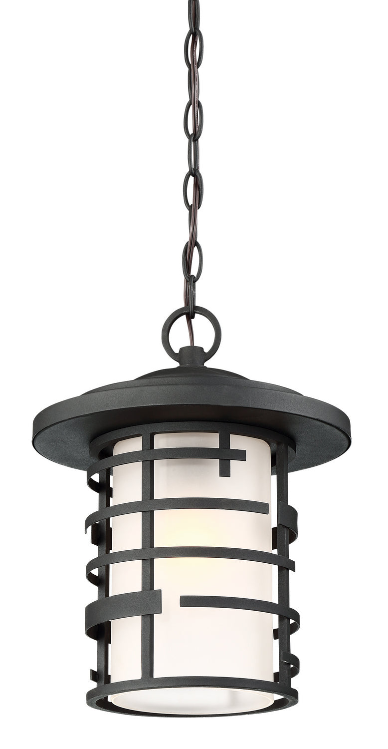 Nuvo Lighting - 60-6405 - One Light Hanging Lantern - Lansing - Textured Black