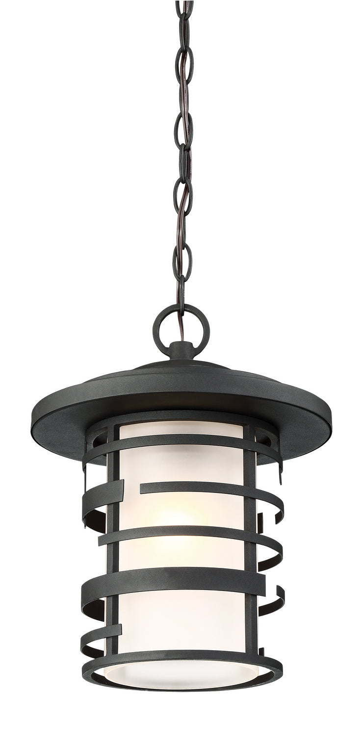 Nuvo Lighting - 60-6405 - One Light Hanging Lantern - Lansing - Textured Black