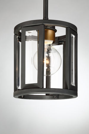 Nuvo Lighting - 60-6412 - One Light Mini Pendant - Payne - Black