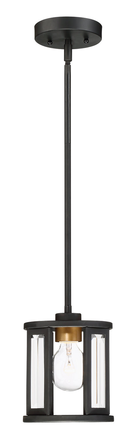 Nuvo Lighting - 60-6412 - One Light Mini Pendant - Payne - Black