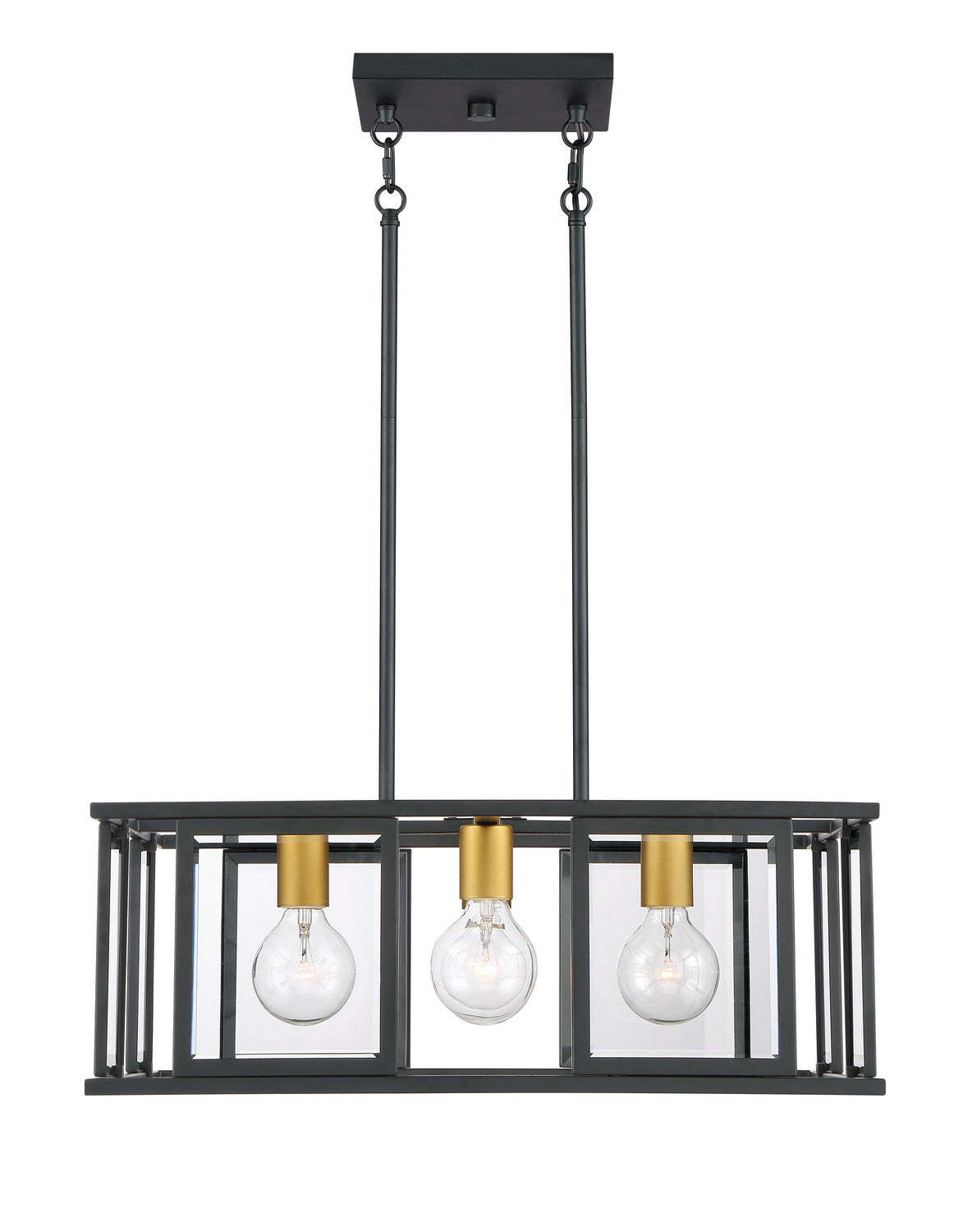 Nuvo Lighting - 60-6414 - Four Light Pendant - Payne - Midnight Bronze