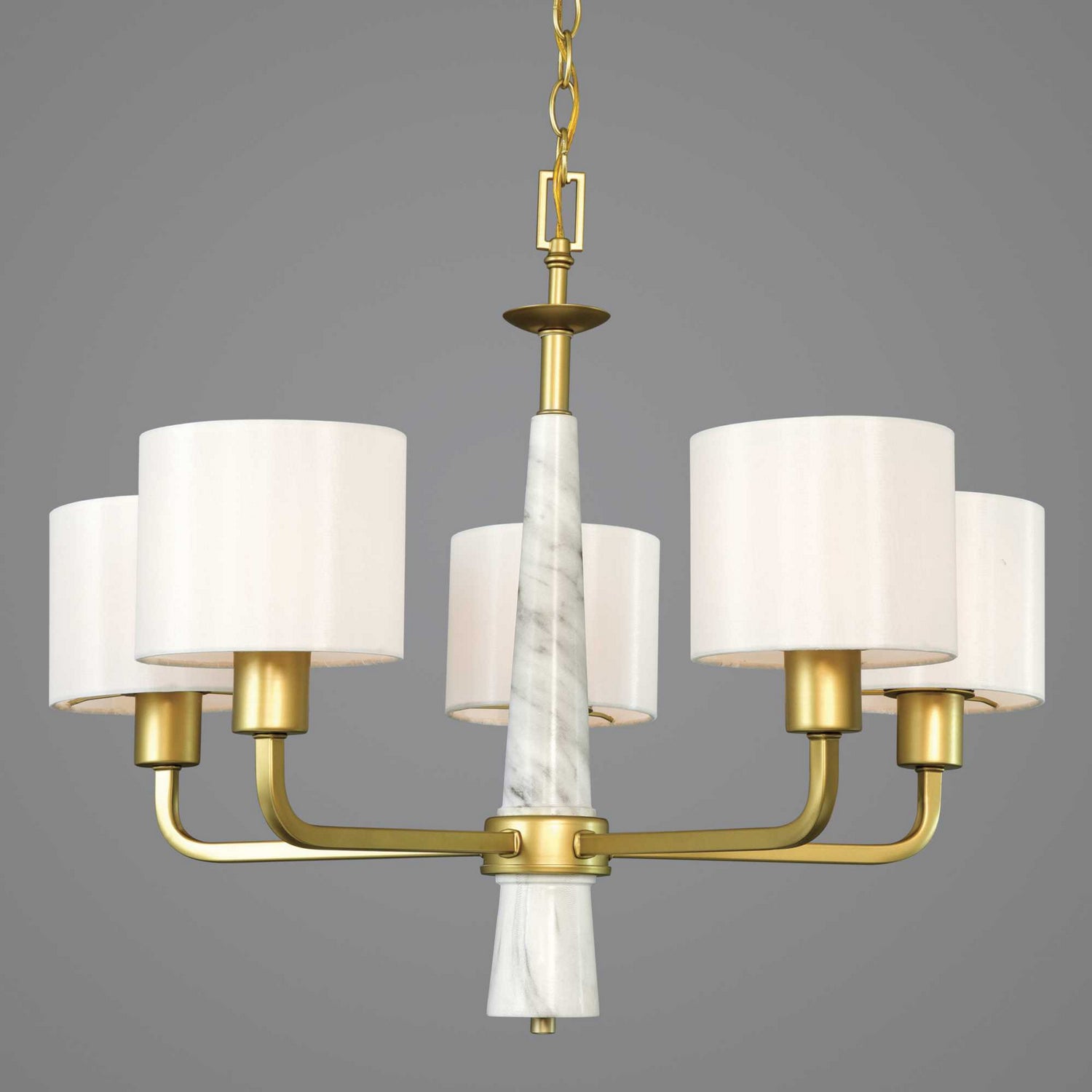 Progress Lighting - P400098-078 - Five Light Chandelier - Palacio - Vintage Gold