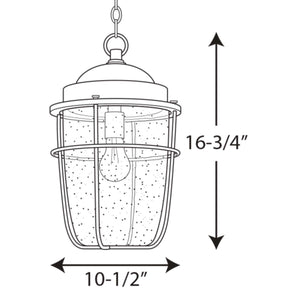 Progress Lighting - P550025-031 - One Light Hanging Lantern - Holcombe - Black