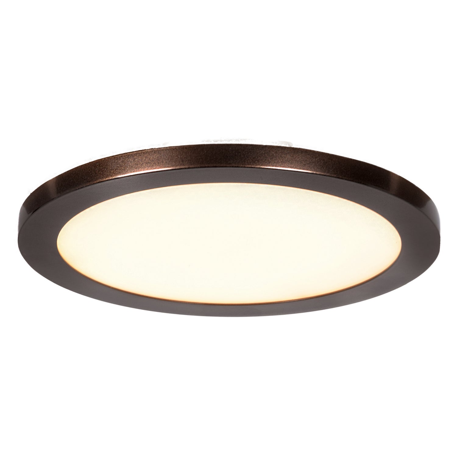 Access - 20812LEDD-BS/ACR - LED Flush Mount - Disc - Brushed Steel