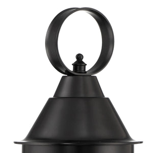 Norwell Lighting - 1321-BL-SE - One Light Post Mount - Cottage Onion - Black With Seedy Glass