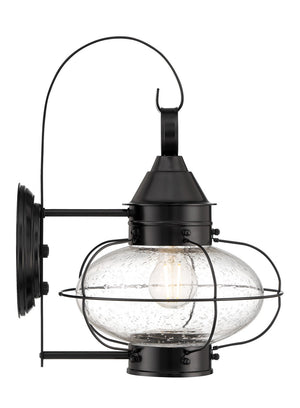 Norwell Lighting - 1324-BL-SE - One Light Wall Mount - Cottage Onion - Black With Seedy Glass