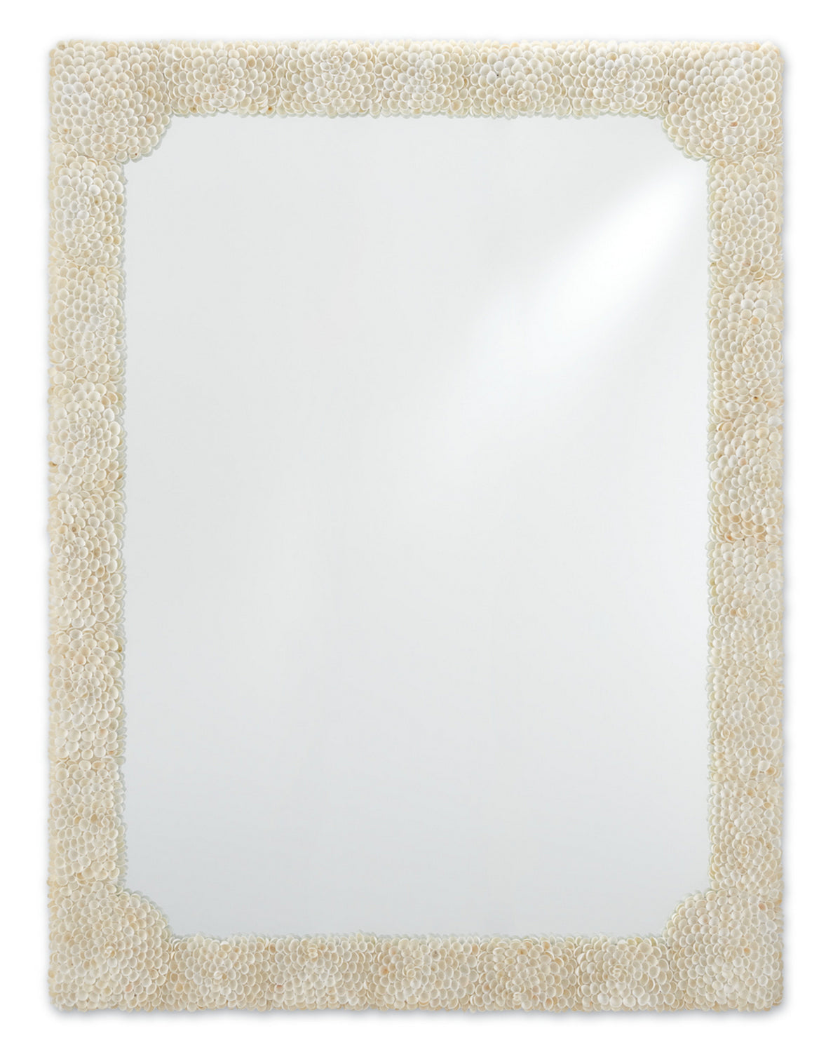 Currey and Company - 1000-0021 - Mirror - Leena - Natural Clam Rose Shells/Mirror