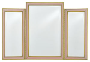 Currey and Company - 1000-0024 - Mirror - Arden - Silver Peony/Satin Brass/Mirror