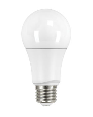 Satco - S29629 - Light Bulb - Frost