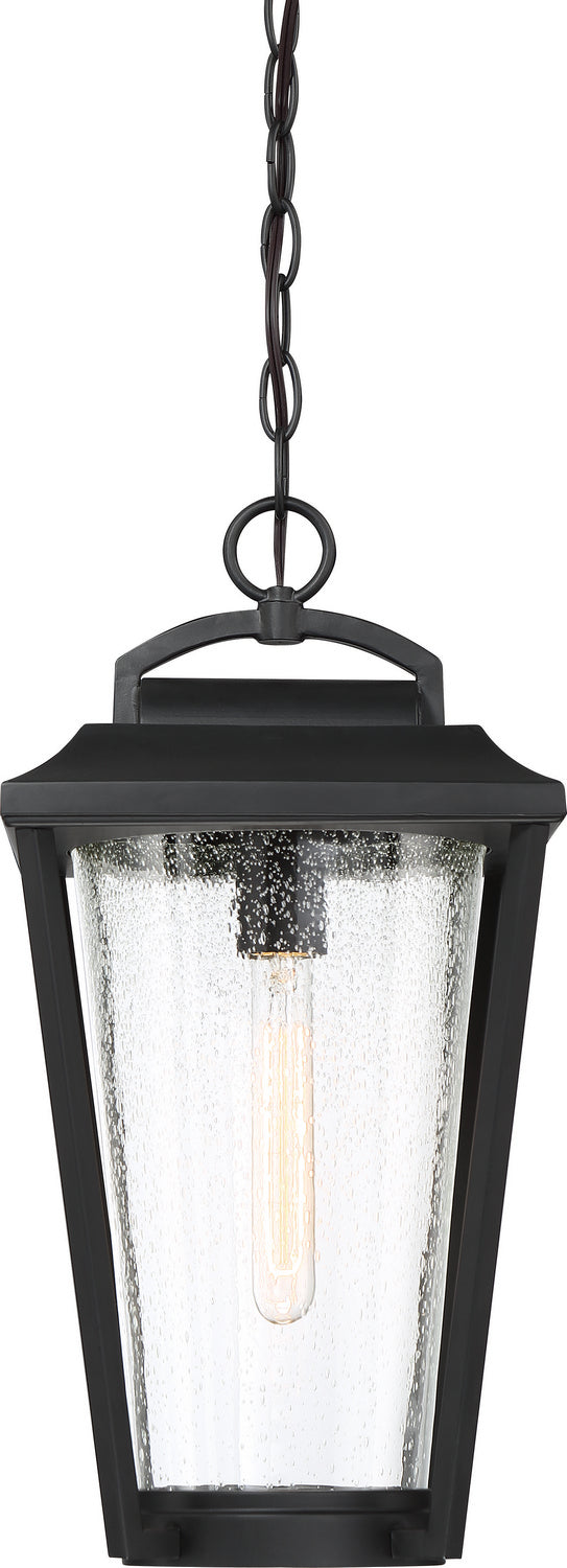 Nuvo Lighting - 60-6514 - One Light Hanging Lantern - Lakeview - Aged Bronze / Clear