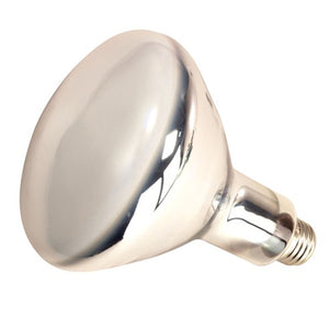 Satco - S4378 - Light Bulb - Coated White