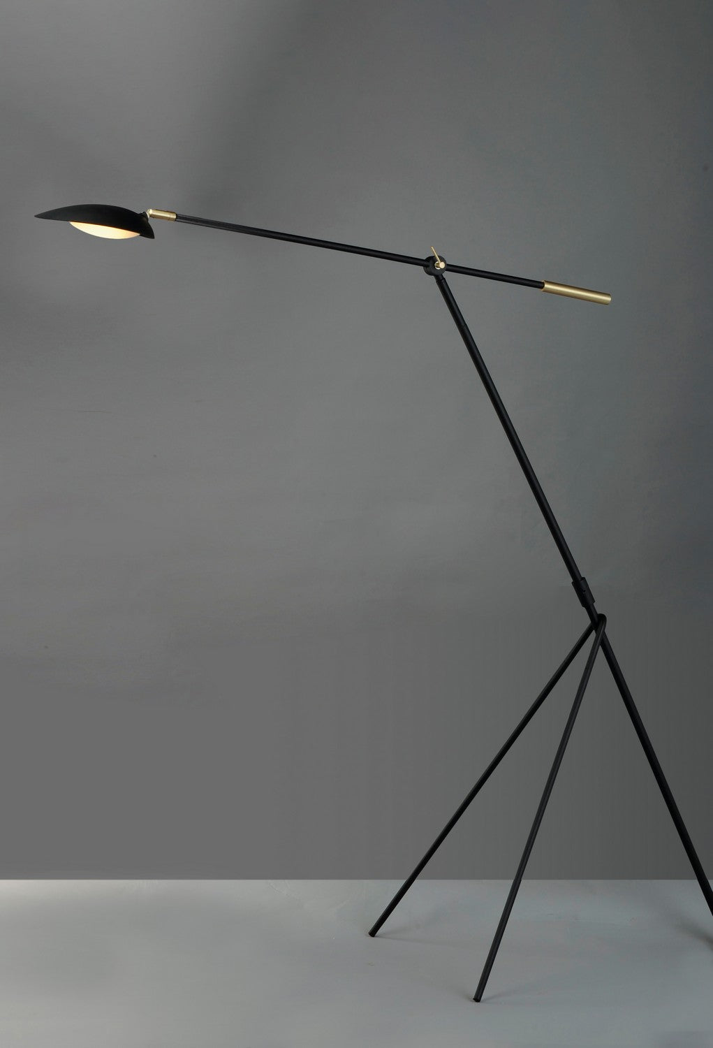 Maxim - 21694BKSBR - LED Floor Lamp - Scan - Black / Satin Brass