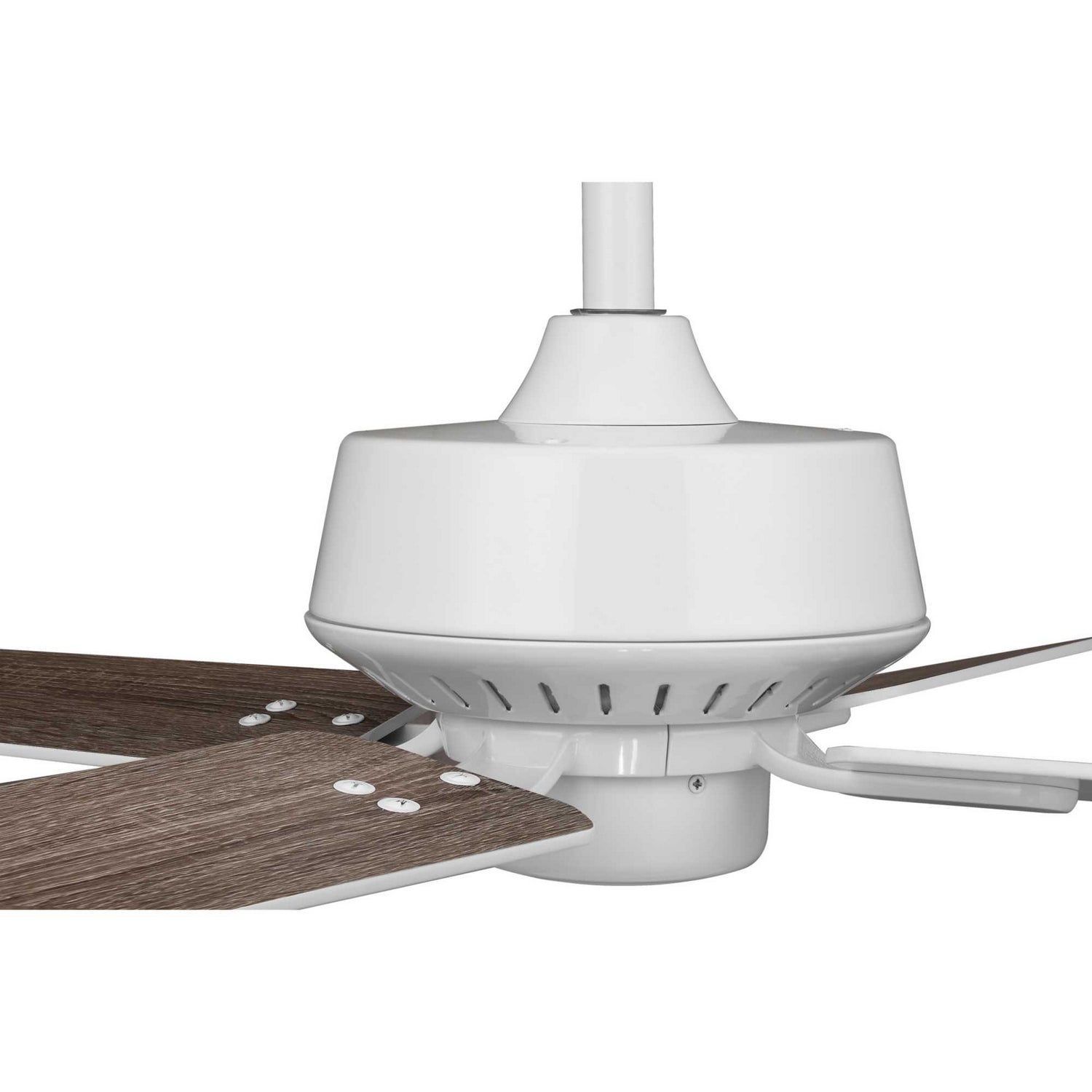 Progress Lighting - P250008-030 - 32"Ceiling Fan - Drift - White