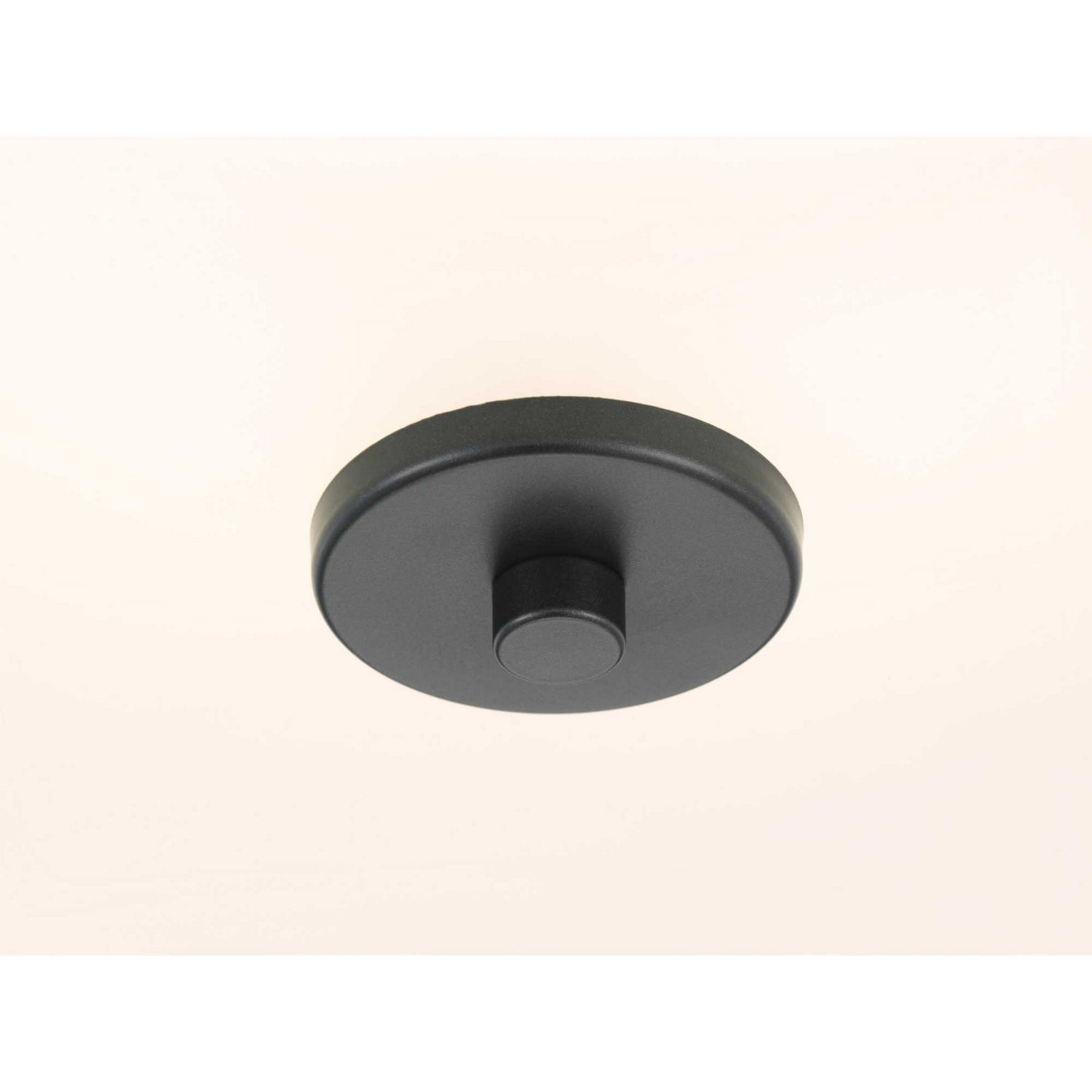 Progress Lighting - P350129-143 - Two Light Semi-Flush Mount - Inspire - Graphite
