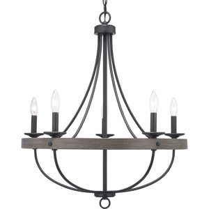 Progress Lighting - P400158-143 - Five Light Chandelier - Gulliver - Graphite