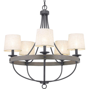 Progress Lighting - P400158-143 - Five Light Chandelier - Gulliver - Graphite