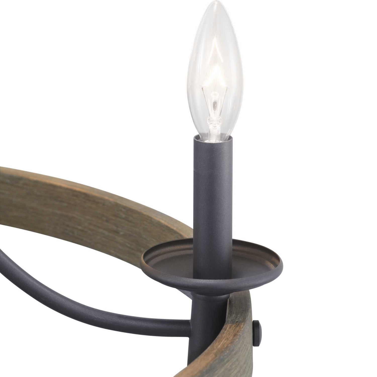 Progress Lighting - P400158-143 - Five Light Chandelier - Gulliver - Graphite