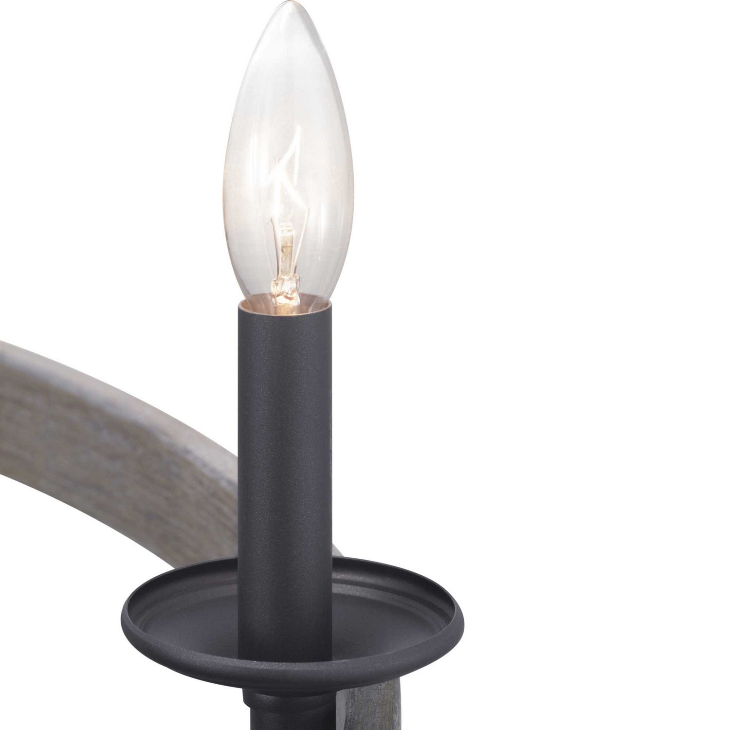 Progress Lighting - P400159-143 - Nine Light Chandelier - Gulliver - Graphite