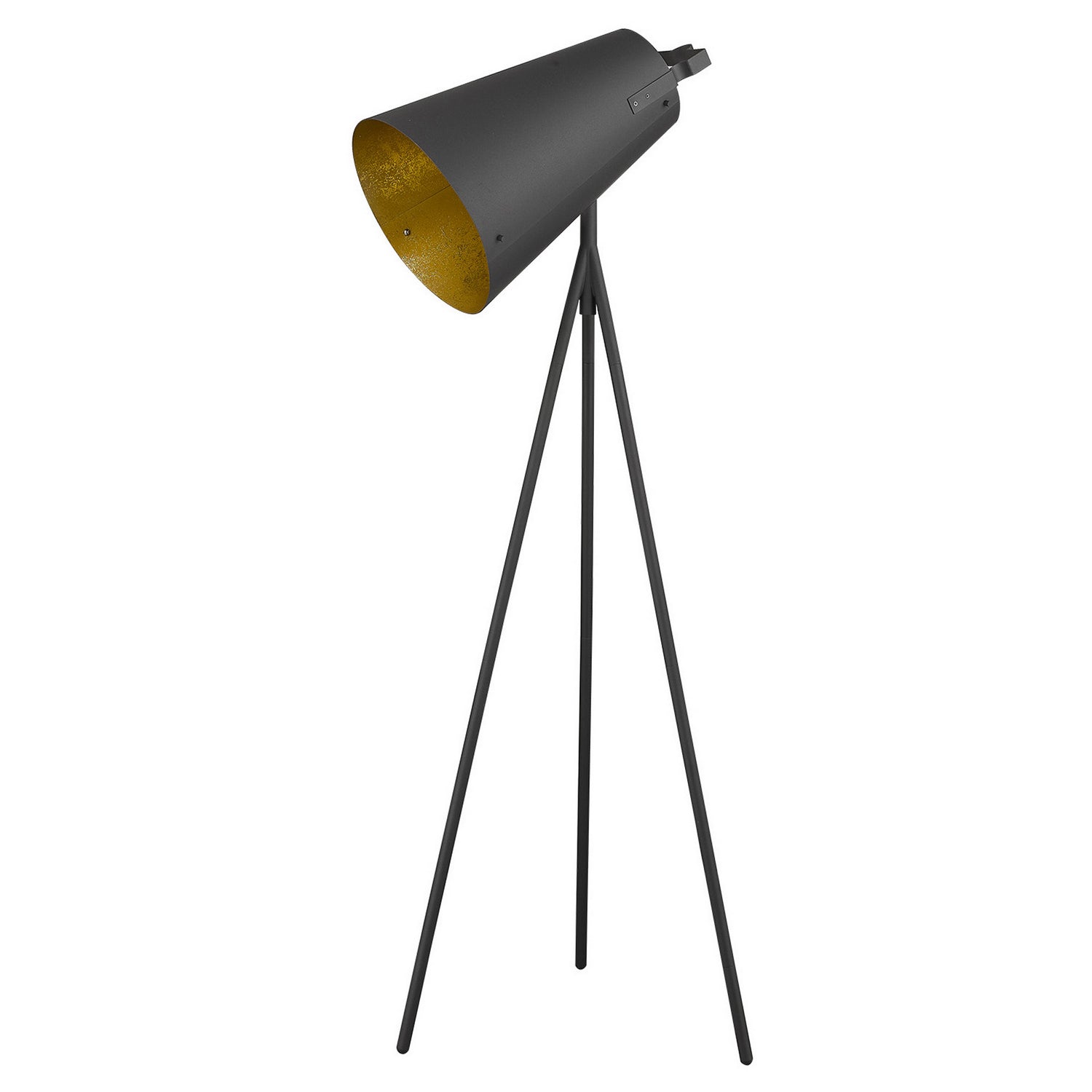 Acclaim Lighting - TF70036BK - One Light Floor Lamp - Faza - Matte Black