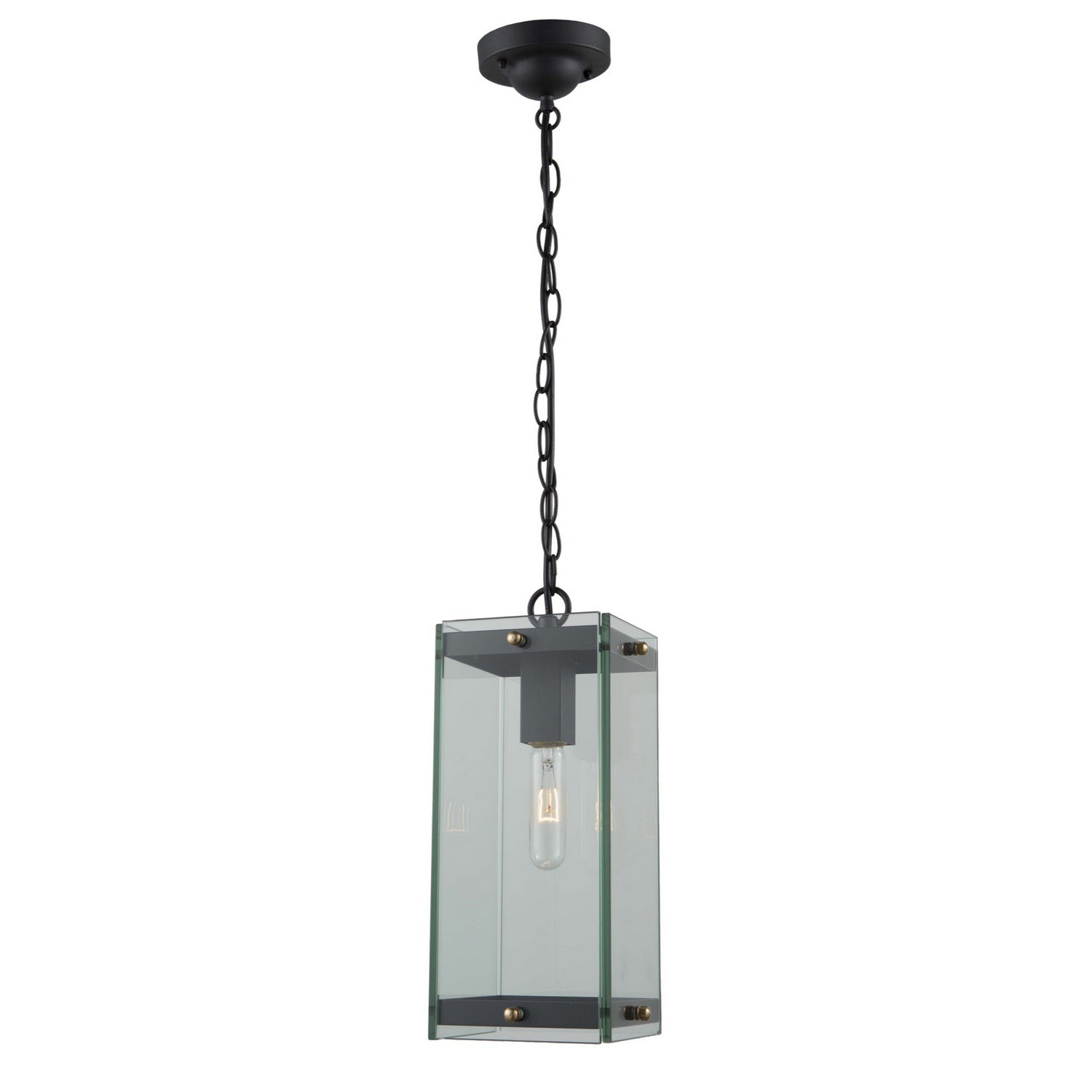 Artcraft - AC8135BK - One Light Outdoor Pendant - Bradgate - Matte Black & Harvest Brass