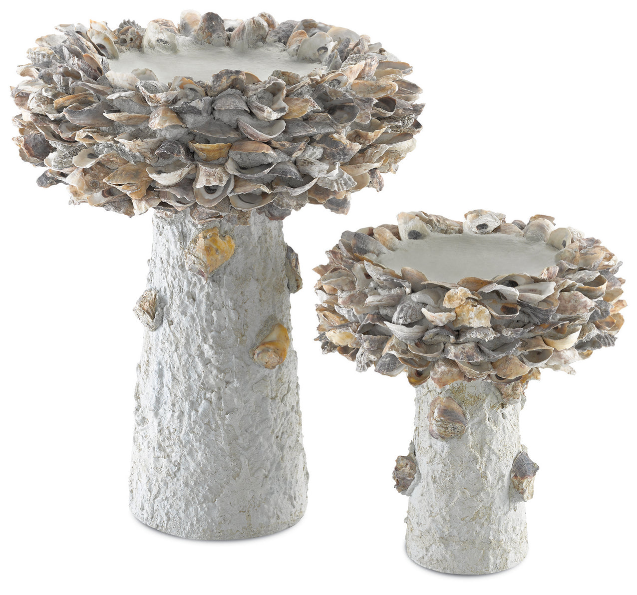 Currey and Company - 1200-0052 - Shell Bird Bath - Oyster - Portland/Natural