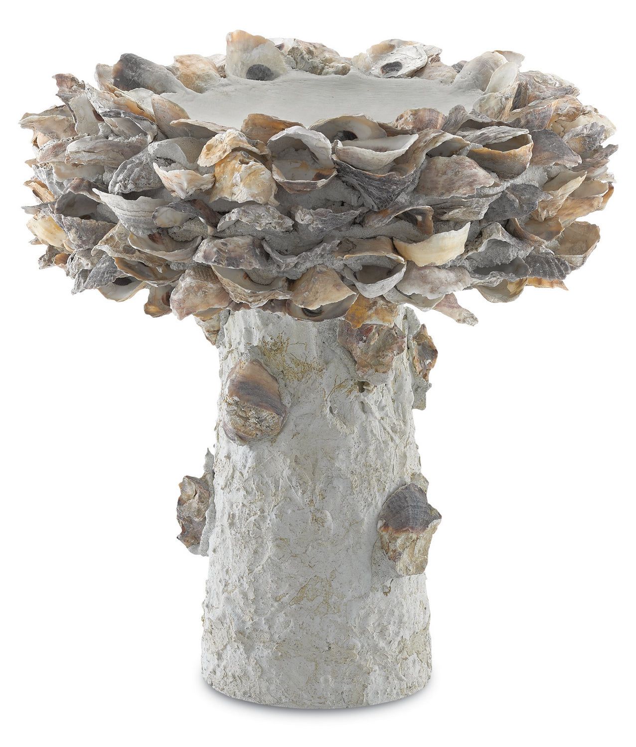 Currey and Company - 1200-0052 - Shell Bird Bath - Oyster - Portland/Natural