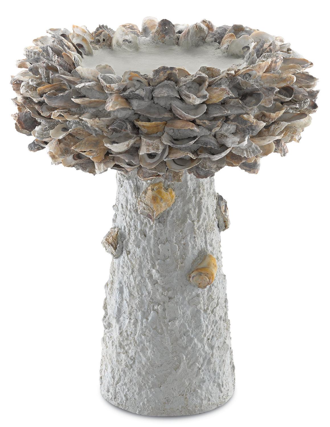 Currey and Company - 1200-0053 - Bird Bath - Oyster - Portland / Natural