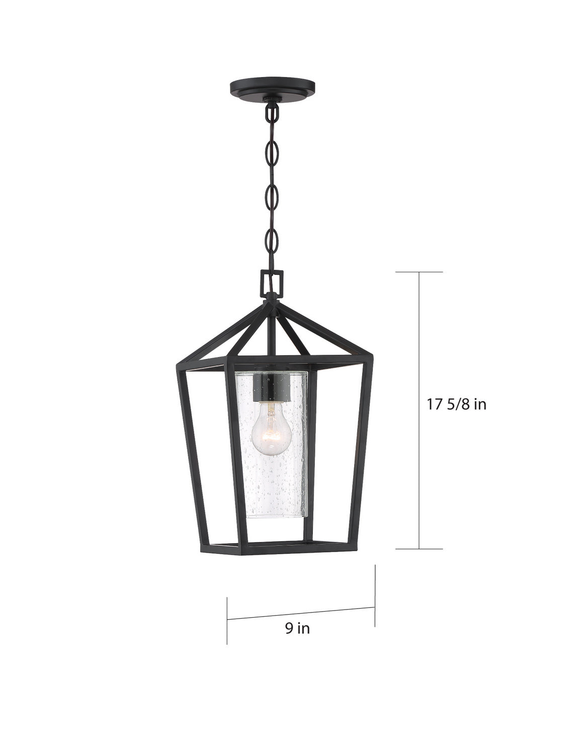 Nuvo Lighting - 60-6594 - One Light Hanging Lantern - Hopewell - Matte Black