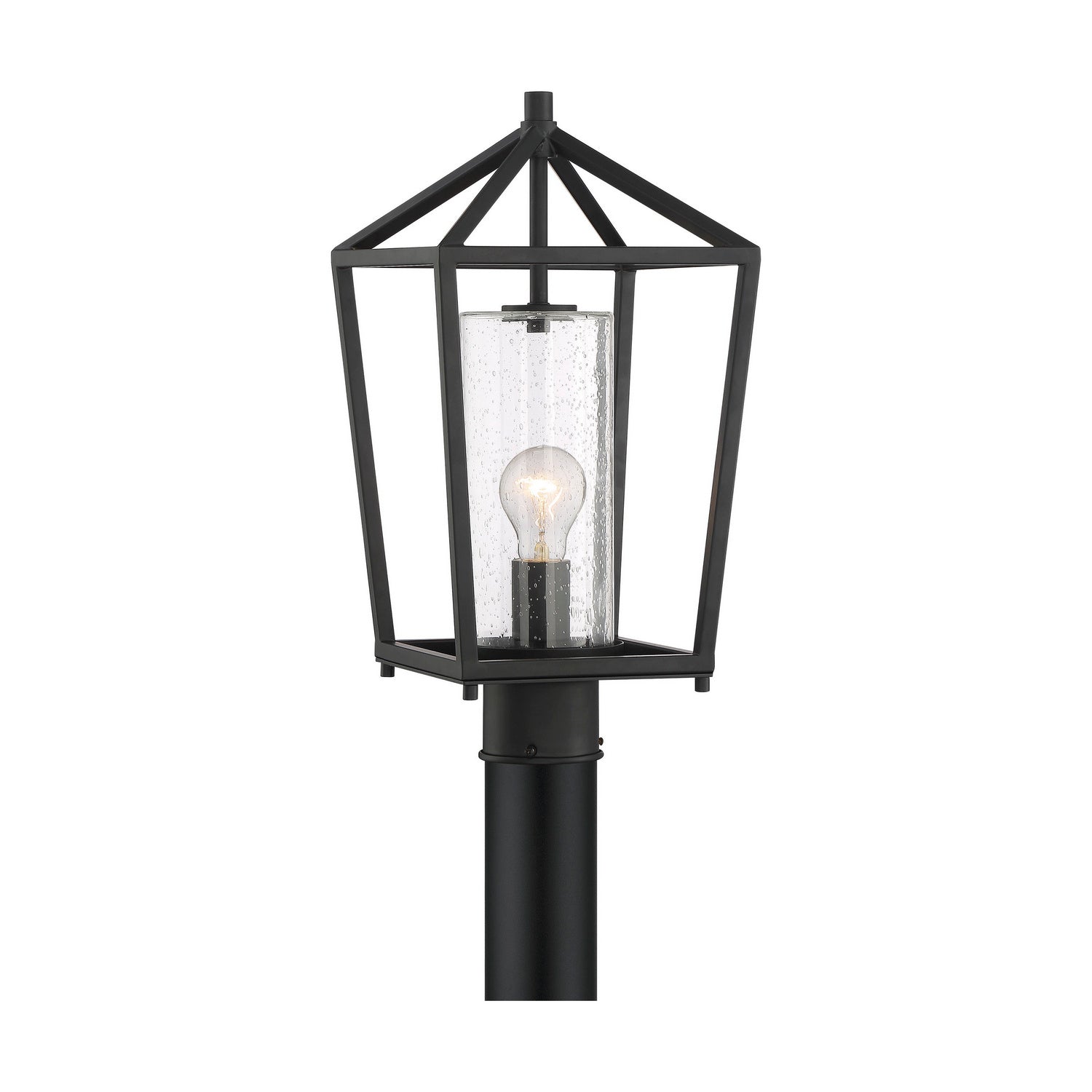 Nuvo Lighting - 60-6595 - One Light Post Lantern - Hopewell - Matte Black