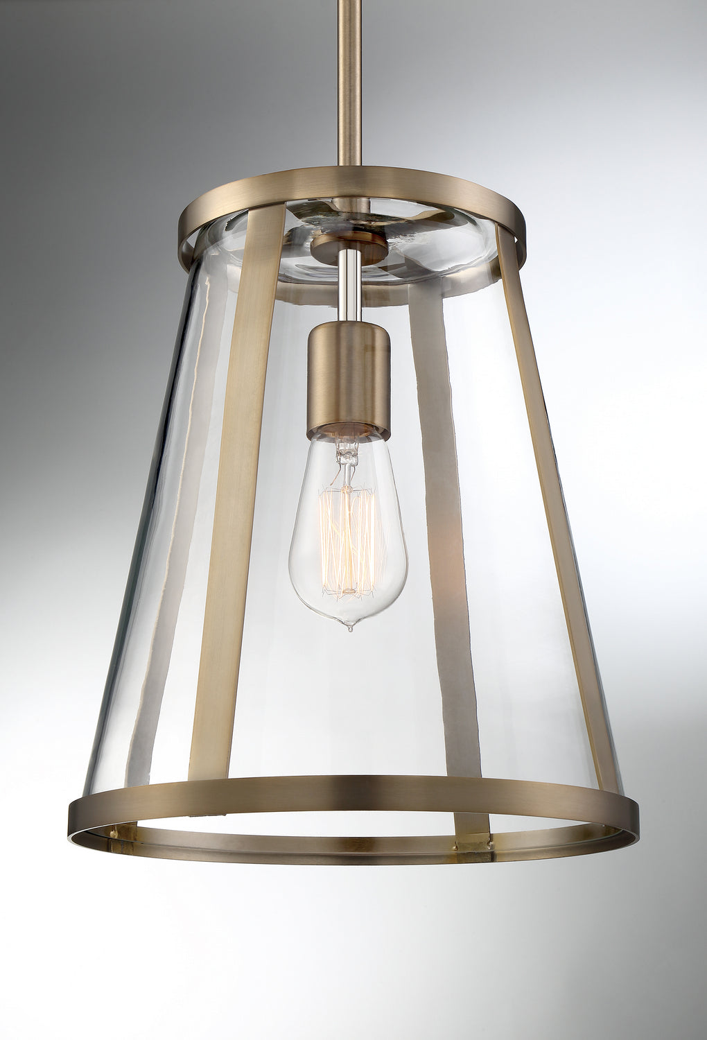 Nuvo Lighting - 60-6697 - One Light Pendant - Bruge - Burnished Brass / Clear