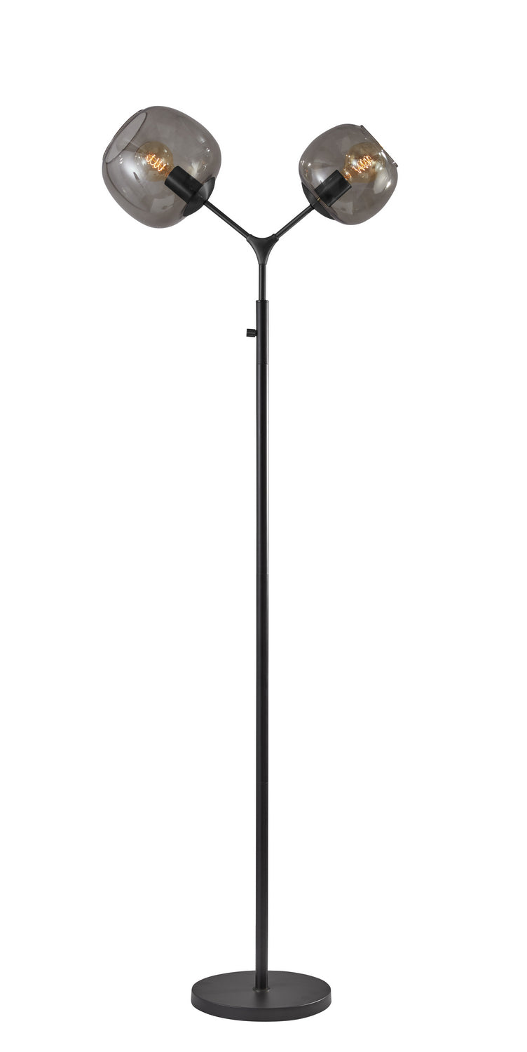 Adesso Home - 3439-01 - Two Light Floor Lamp - Ashton - Matte Black