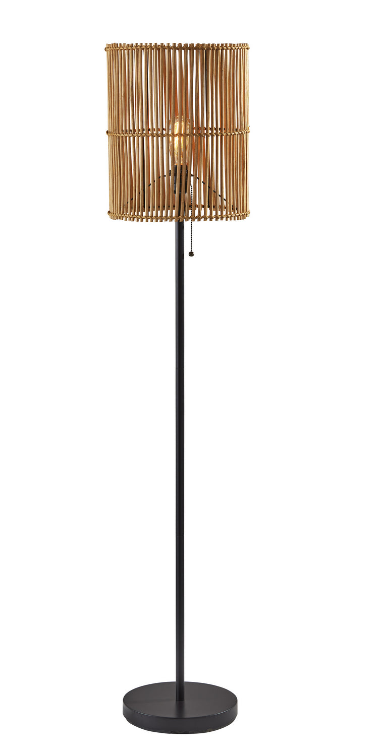 Adesso Home - 4198-12 - Floor Lamp - Cabana - Dark Bronze Painted