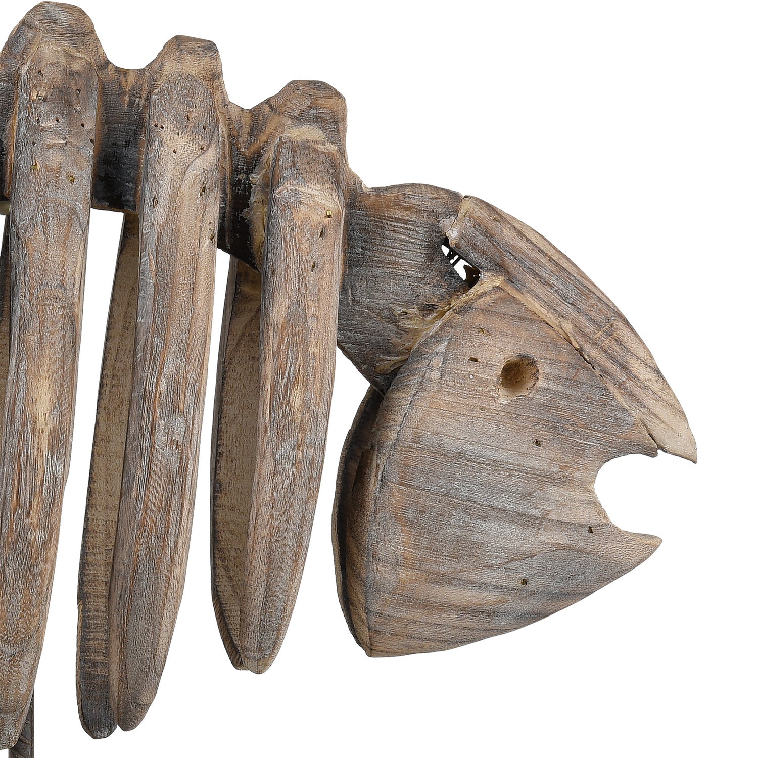 ELK Home - 2181-111 - Decorative Object - Bone Fish - Natural