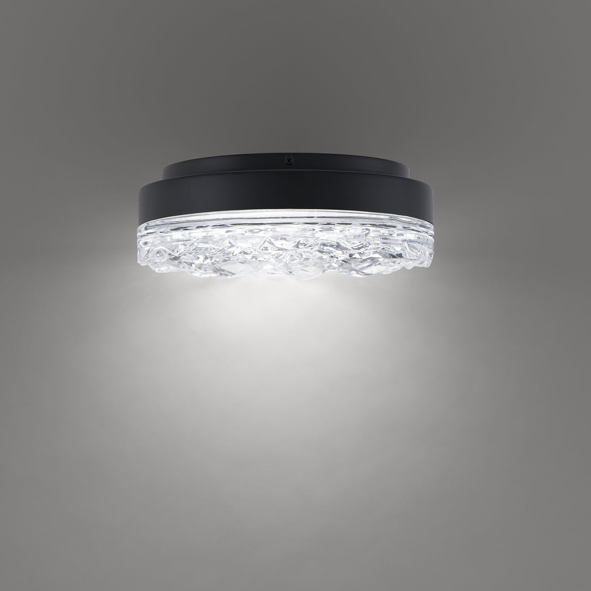 Schonbek Beyond - BFM96412-BK - LED Flush Mount - Bramble - Black